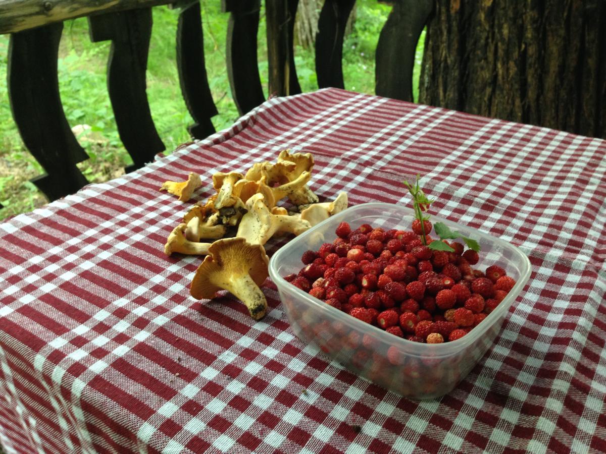Kitka Hostel - Guest House Vratnica Экстерьер фото